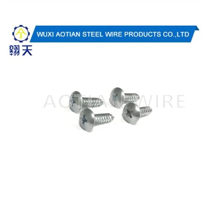 দস্তা ধাতুপট্টাবৃত স্ব লঘুপাত screws.